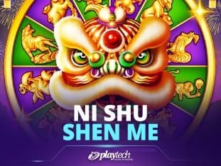 Ni Shu Shen Me game icon